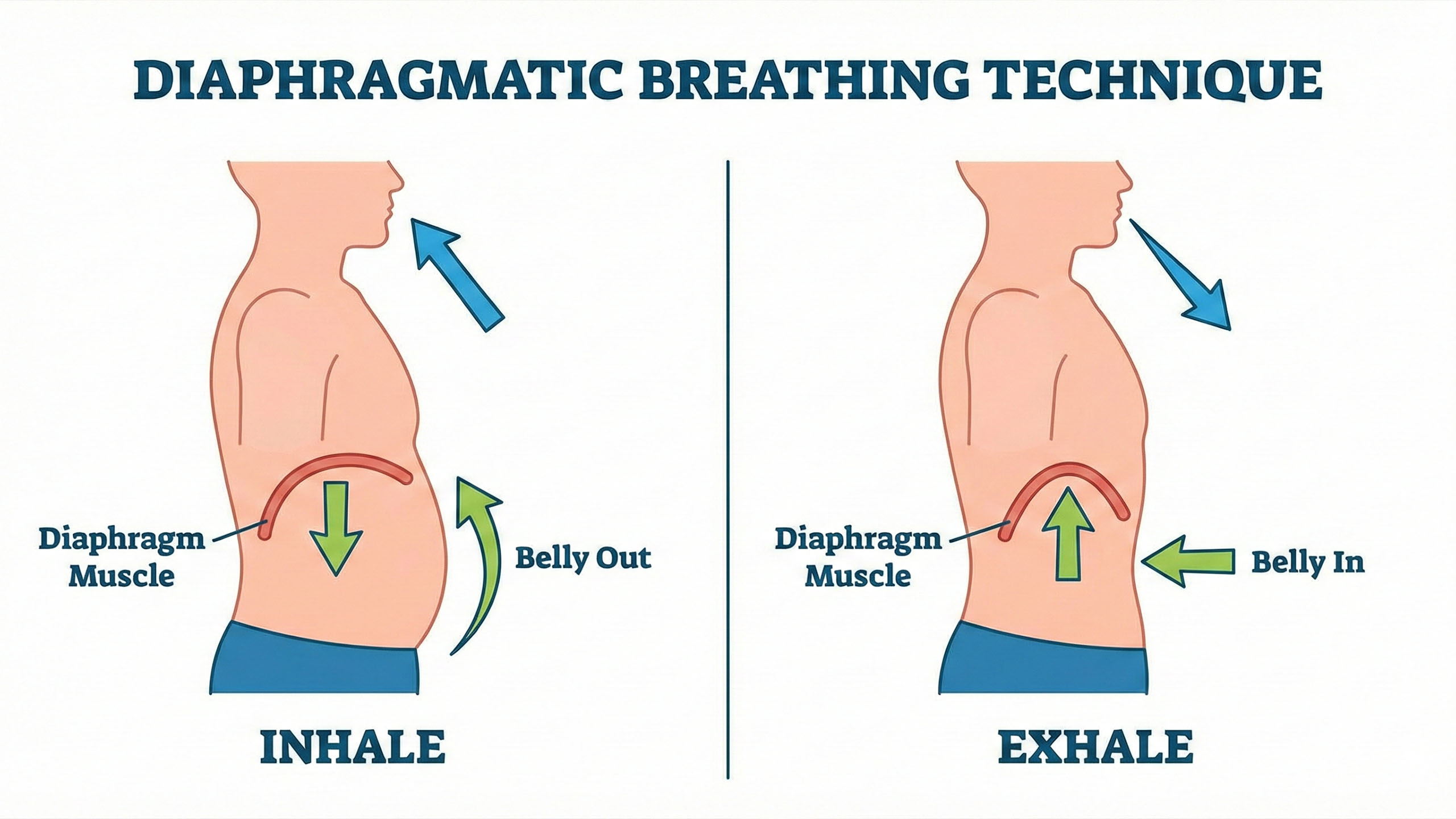 Diaphragmatic breathing technique illustration