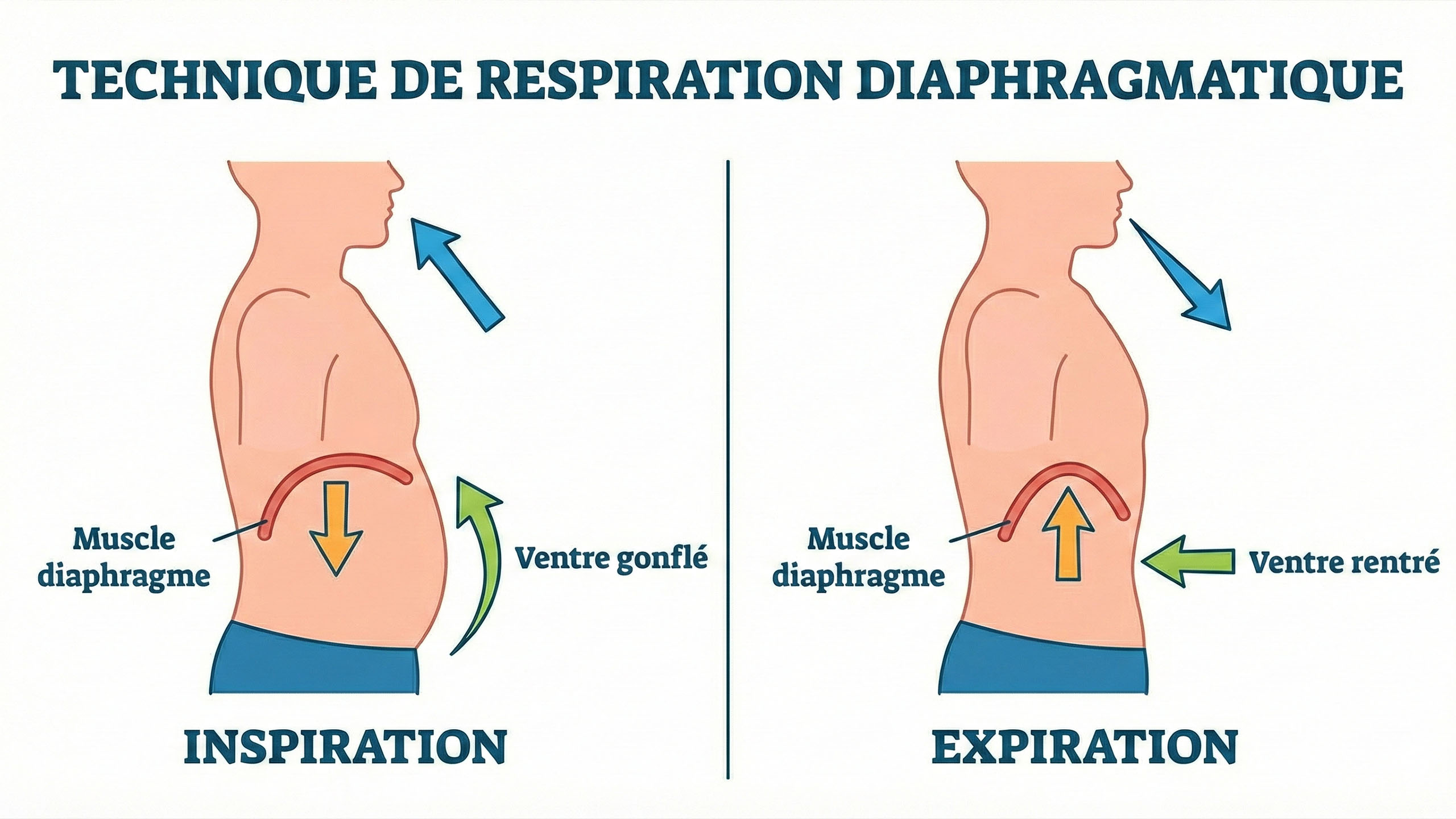 Illustration de la technique de respiration diaphragmatique