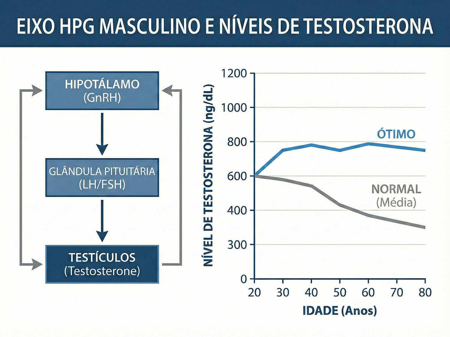 Gráfico dos intervalos de testosterona «Ótimo vs. Normal».