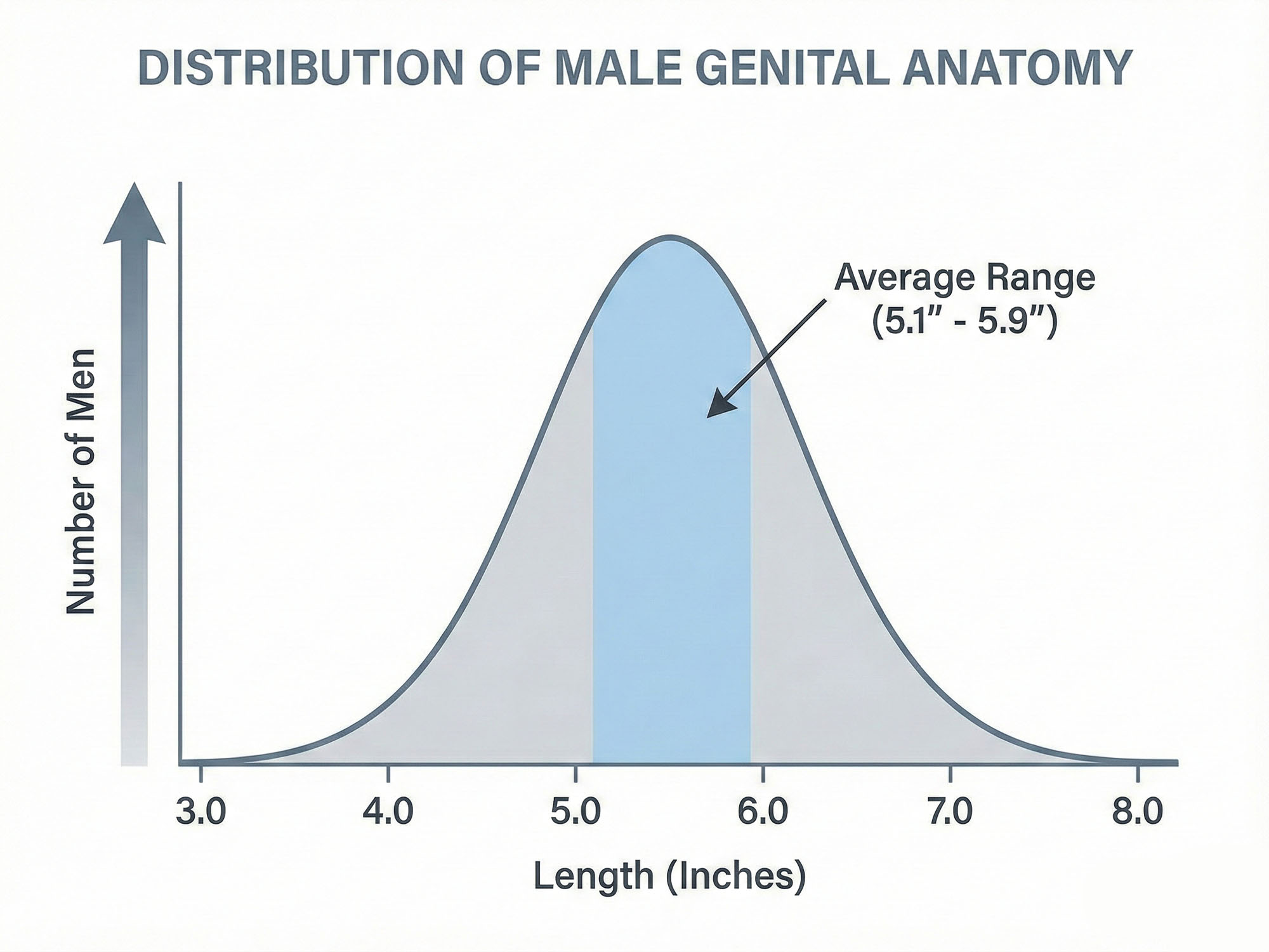 a bell curve diagram illustrating the distribution of male genital anatomy