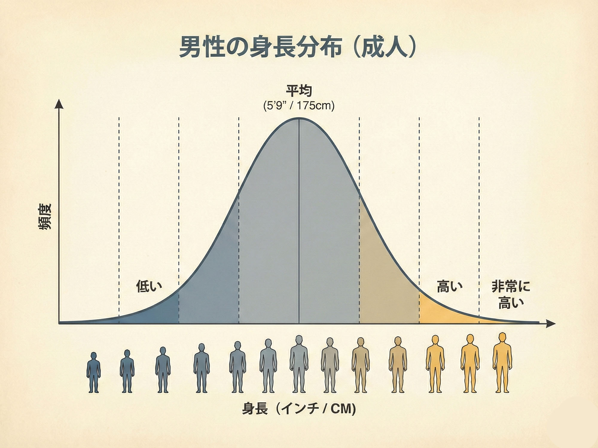 男性の身長分布のベルカーブグラフ。