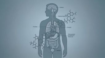 Ilustração de uma figura masculina sobreposta à estrutura molecular de microplásticos, representando a previsão de declínio dos níveis de testosterona até 2050.