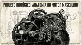 Ilustração estilo blueprint técnico das estruturas fisiológicas masculinas.