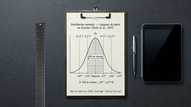 Une règle métallique à côté d’un clipboard montrant une courbe de distribution statistique — représentant les données cliniques de la méta-analyse de 2015 sur la taille du pénis auprès de 15 521 hommes.