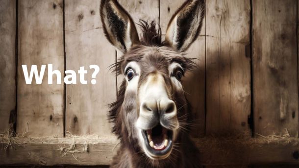 Donkey surprised with his mouth open?