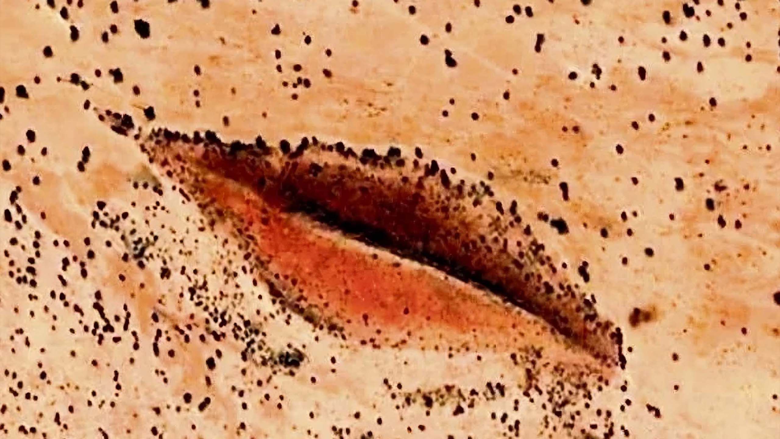 Sandstone rock formation in Darfur Desert resembling female anatomy, glowing at sunset.